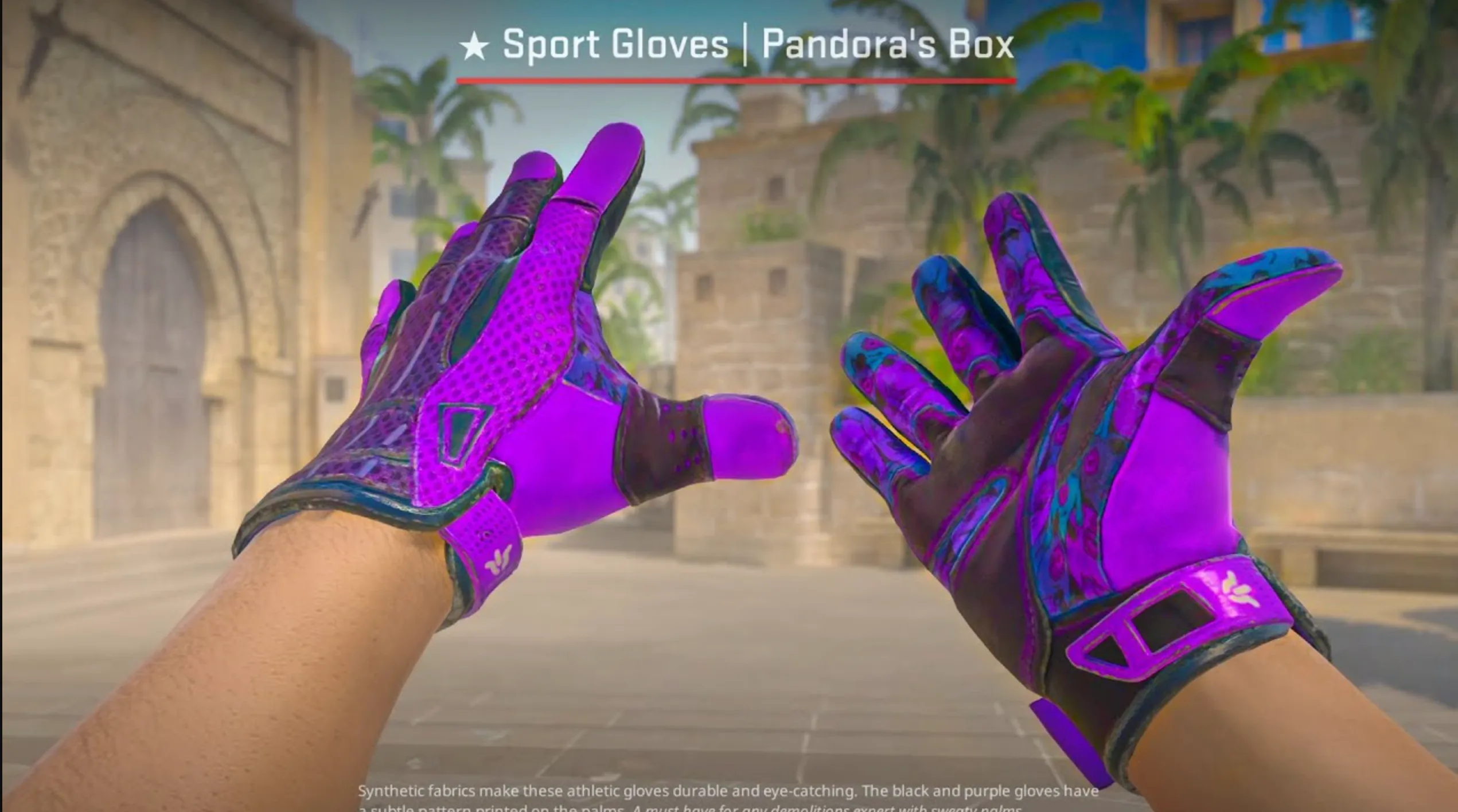 Sport Gloves Pandora Box and case hardened knife